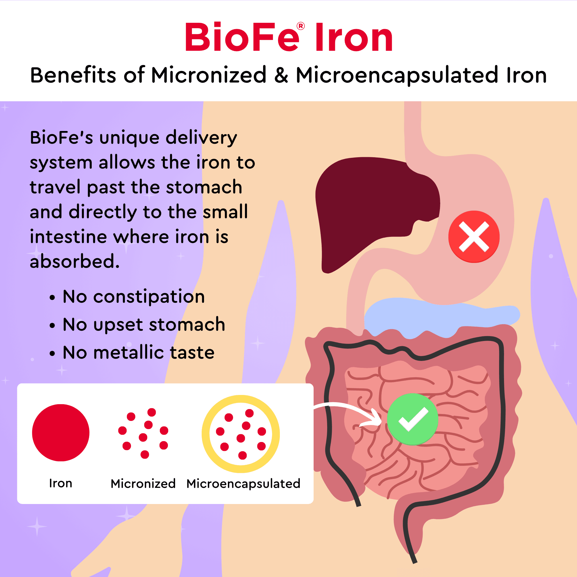 BioFe Iron benefits of micronized and microencapsulated iron