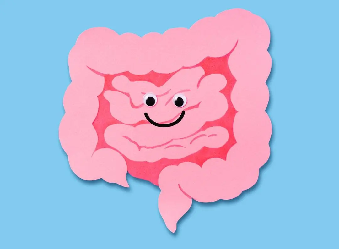 cartoon image of a<br />
 happy colon